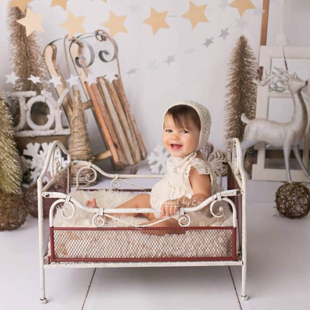 Fancy Fabric & Props Holiday Photo Backdrop